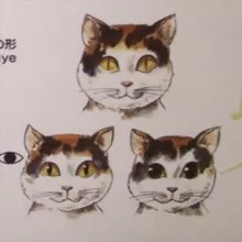 Альбедо | 24/7