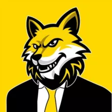 🟡 VALENTIN CHAMBRAUD