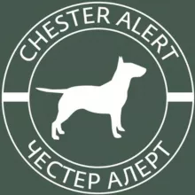 Chester Alert