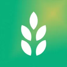 СКС говорит!