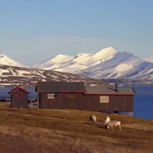 Только качественные карты