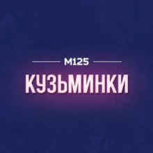 Кузьминки район М125