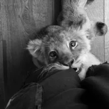 самое время