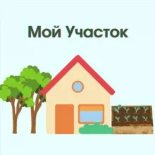 Мой участок | Дача и огород