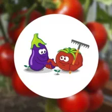 Интернет-магазин semena-partner.ru