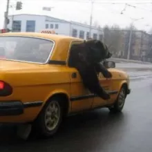 Приколы | ржач | прикольные истории | плачу в голос