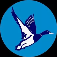 АФИША ЧЕБОКСАРЫ