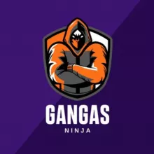 Gangas Ninja
