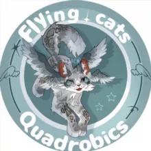 —Квадробика-хаус «Flying cats»⚓️