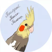 Пристрой попугаев. Улетел / нашёлся попугай. Помощь птицам