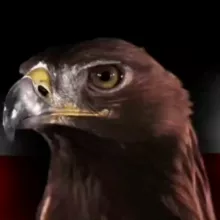 GlobalPatriotMEMES 💣