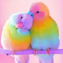 💎 Цепляющие STORIES