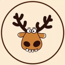 Новосибирск подсмотрено