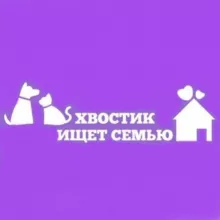 Хвостик ищет семью