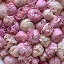 Мусульманка дома