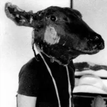 Mad at the Internet 🎙