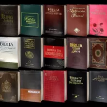 Somente Bíblias
