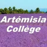 Artémisia Collège