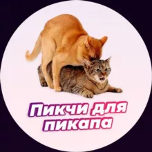 Пикчи для пикапа