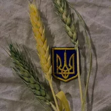 цитати українською 💌