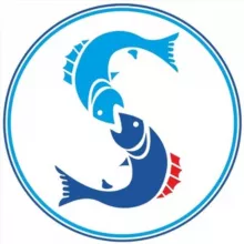 Компания «Сарсенбаев»