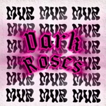 Delicate_dark_rose 🔗