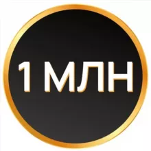 Репетитор на миллион