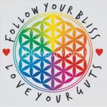 🌈FOLLOW YOUR BLISS 🌈