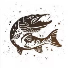 В САДКЕ - Рыбалка ДВ