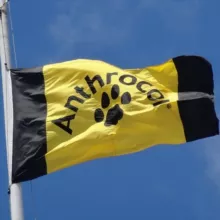 Anthrocon Announcements