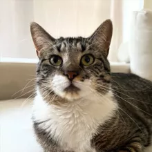 В Спальне С Бубой