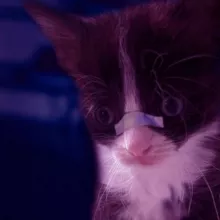 Ты там это... Дальше смотри