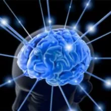 Бизнес Мозг