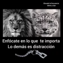 𝐄𝐥𝐞𝐯𝐚𝐧𝐝𝐨 𝐋𝐚 𝐅𝐫𝐞𝐜𝐮𝐞𝐧𝐜𝐢𝐚 𝐃𝐀𝐓𝐎𝐒 𝐘 𝐓𝐈𝐏𝐒💪