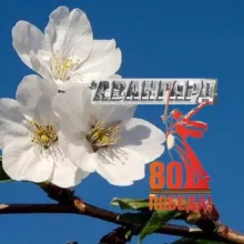 АВАНГАРД НОВОАННИНСКИЙ