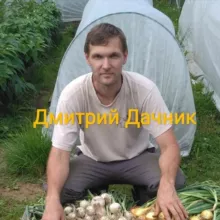 Дмитрий Дачник