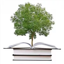 Исламские финансы +