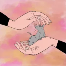 Горячая линия "Крыса в беде"