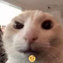 Пикчи разной степени абсурдности