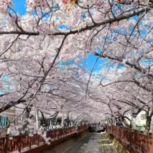 【南汐工作室韩国素材】人设套图/旅游/生活/美食套图全选/朋友圈装饰/高清大图精选/居家日常/风景旅行/生活购物/运动办公/汽车