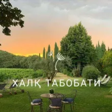 Халк табобати🍀🌿