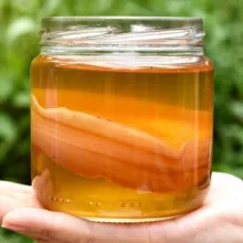 Гриби, гроби і дисертації