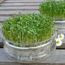 SOLARIS FRANCE - ALIMENTATION & NUTRITION - Informations n° 2