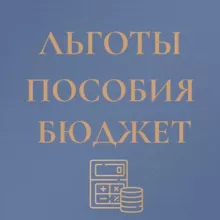 Льготы Пособия Выплаты (бюджет , вычеты, алименты, госуслуги)