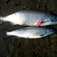 Рыбаки Сахалина