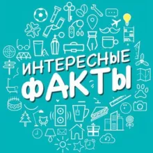 Интересные факты 🧠