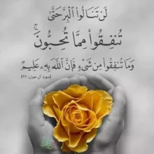 ‏" بكت في دعائها فأقر الله عينها فى إستجابته"🤍🌿