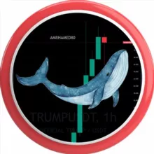 Amr Hamed / تحليلات للعملات الرقمية