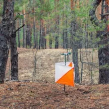 Рогейны России