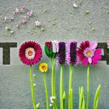 КУЛЬТОВЫЙ РЕСТОРАН Т-ОЧКА (ТОЧКА, ТЧК)